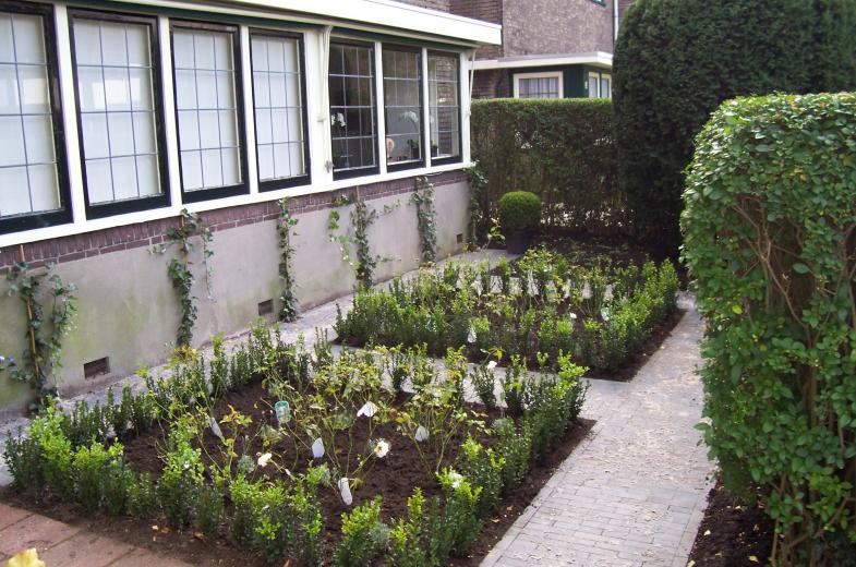 Kleine voortuin