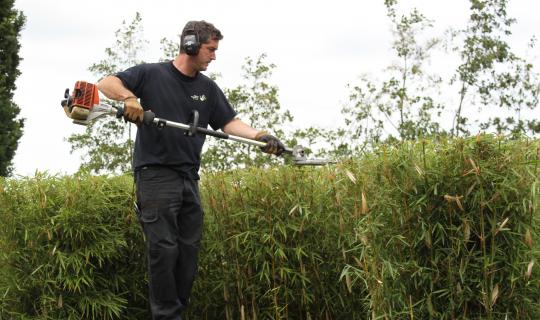 Abonnement op tuinonderhoud